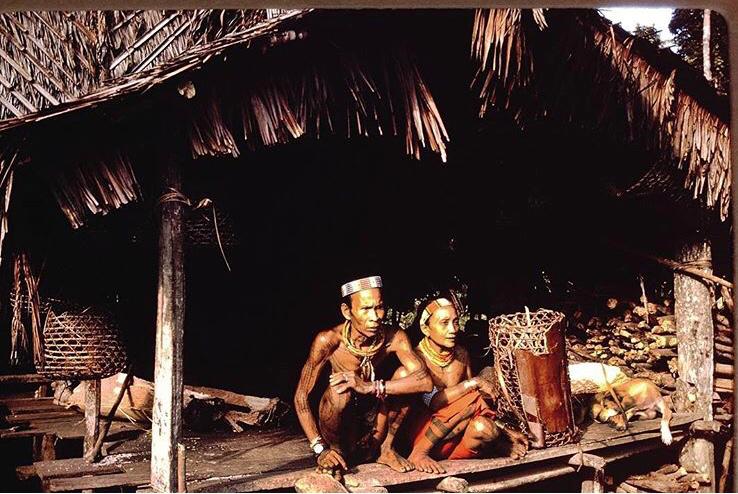 Beyond Mass Tourism in the Mentawai Islands